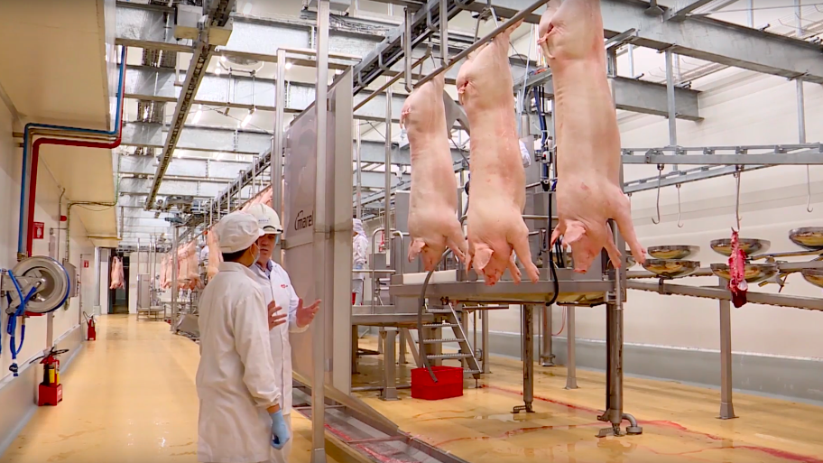 Giá thịt lợn hôm nay 22/1, xuất hiện mức tăng tại Công ty Thực phẩm bán lẻ