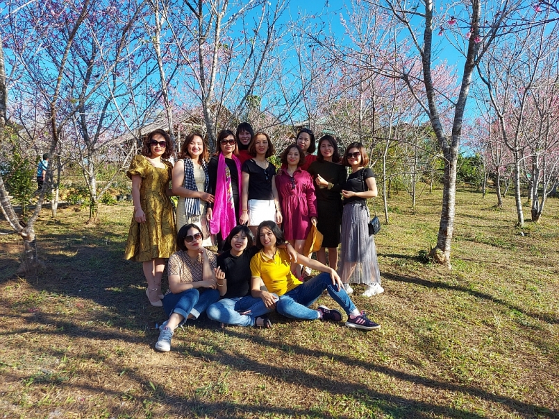 Hàng nghìn lượt du khách tìm đến đảo Pá Khoang vào dịp hoa đào Sakura Nhật Bản đang bung mình khoe sắc