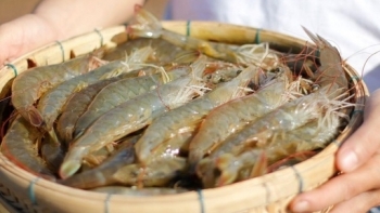 Tăng cường quản lý an toàn thực phẩm trong nuôi trồng thủy sản