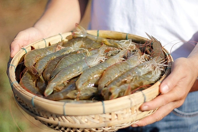 Tăng cường quản lý an toàn thực phẩm trong nuôi trồng thủy sản