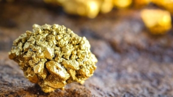 Cập nhật giá vàng hôm nay 23/1: Giảm mạnh