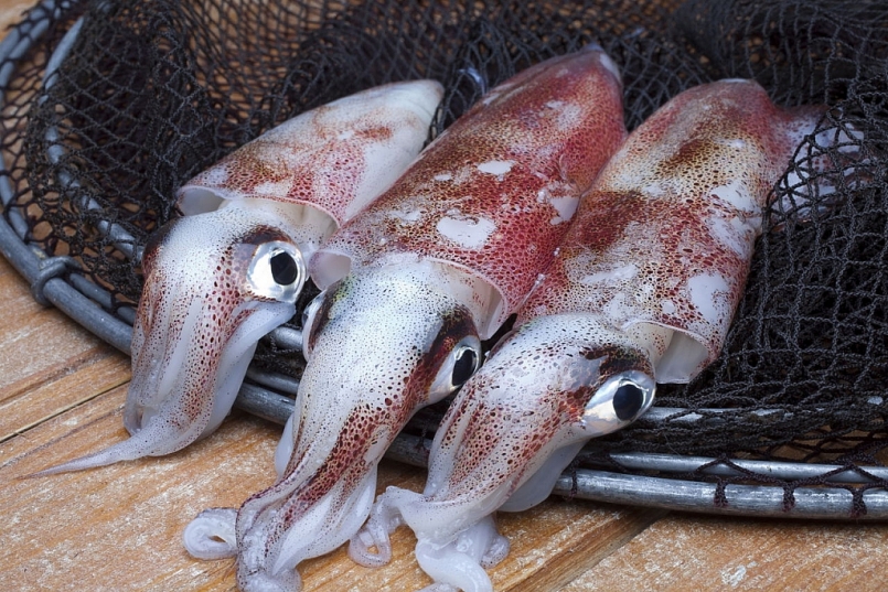 Hàn Quốc tiêu thụ gần một nửa lượng mực xuất khẩu của Việt Nam