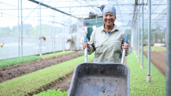 Phấn đấu đến 2025, cả nước có hơn 3.000 hợp tác xã ứng dụng công nghệ cao