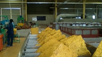 Trung Quốc là nhà nhập khẩu cao su lớn nhất của Việt Nam trong năm 2020