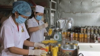 Bắc Kạn: Hoạt động xuất nhập khẩu năm 2020 tiếp tục có sự khởi sắc