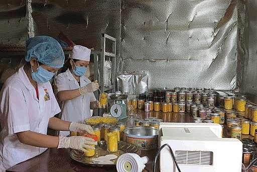  Hoạt động xuất nhập khẩu năm 2020của tỉnh Bắc kajn tiếp tục có sự khởi sắc