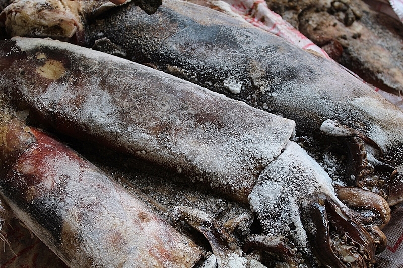 Cơ quan chức năng phát hiện, bắt giữ gần 700kg mực ống bốc mùi hôi thối đang được vận chuyển đi tiêu thụ Cơ quan chức năng phát hiện, bắt giữ gần 700kg mực ống bốc mùi hôi thối đang được vận chuyển đi tiêu thụ