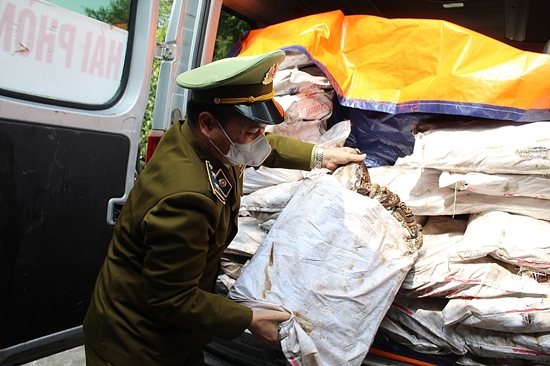 Toàn bộ số hàng hoá nhập lậu xuất xứ từ Trung Quốc Toàn bộ số hàng hoá nhập lậu xuất xứ từ Trung Quốc