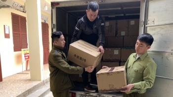 Lạng Sơn: Thu giữ hơn 01 tấn hạt hướng dương khô đã qua tẩm ướp