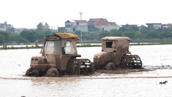 Bắc Ninh: Chủ động cung cấp nước phục vụ sản xuất vụ Xuân 2021