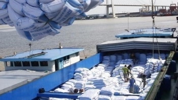 60 tấn gạo Việt Nam đầu tiên được nhập khẩu vào Anh theo UKVFTA