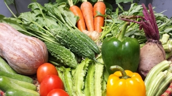 Giá rau củ quả hôm nay 27/1: Thêm nhiều ưu đãi hấp dẫn