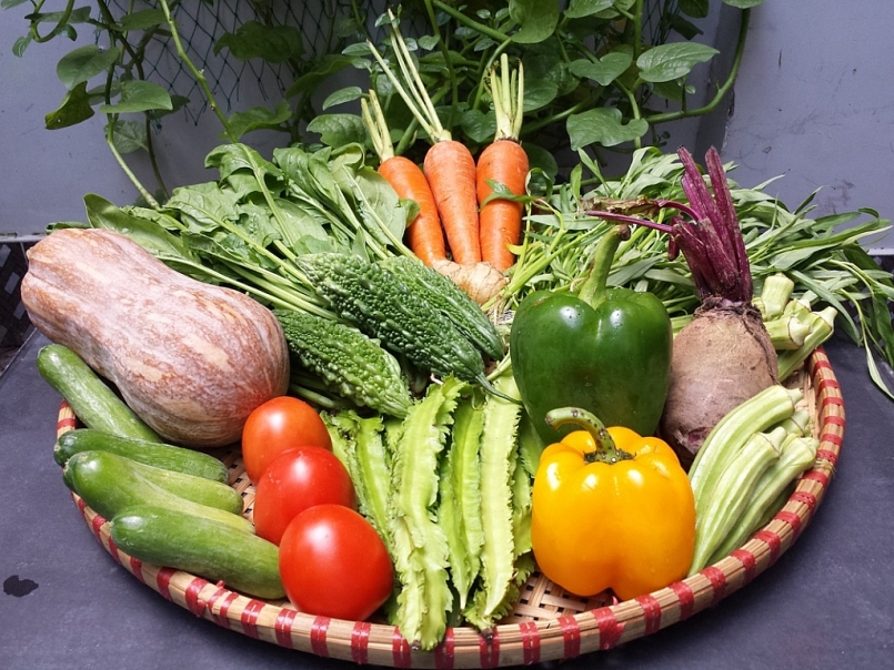 Giá rau củ quả hôm nay 27/1 được khuyến mãi hêm nhiều ưu đãi hấp dẫn Giá rau củ quả hôm nay 27/1 được khuyến mãi hêm nhiều ưu đãi hấp dẫn