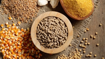 Nhập khẩu thức ăn chăn nuôi của Việt Nam tăng trưởng khá trong năm 2020