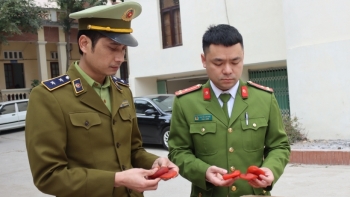 Lạng Sơn: Tiếp tục tịch thu 1,2 tấn hồng sấy dẻo nhập lậu