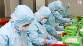 Năm 2020, xuất khẩu tôm đạt 3,7 tỷ USD, tăng 11%