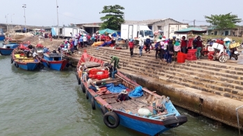 Công bố 5 cảng cá đủ điều kiện xác nhận nguồn gốc thuỷ sản từ khai thác