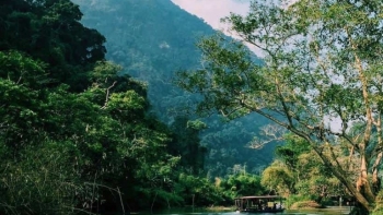 Bắc Kạn: Tăng cường công tác bảo vệ rừng dịp Tết Tân Sửu 2021