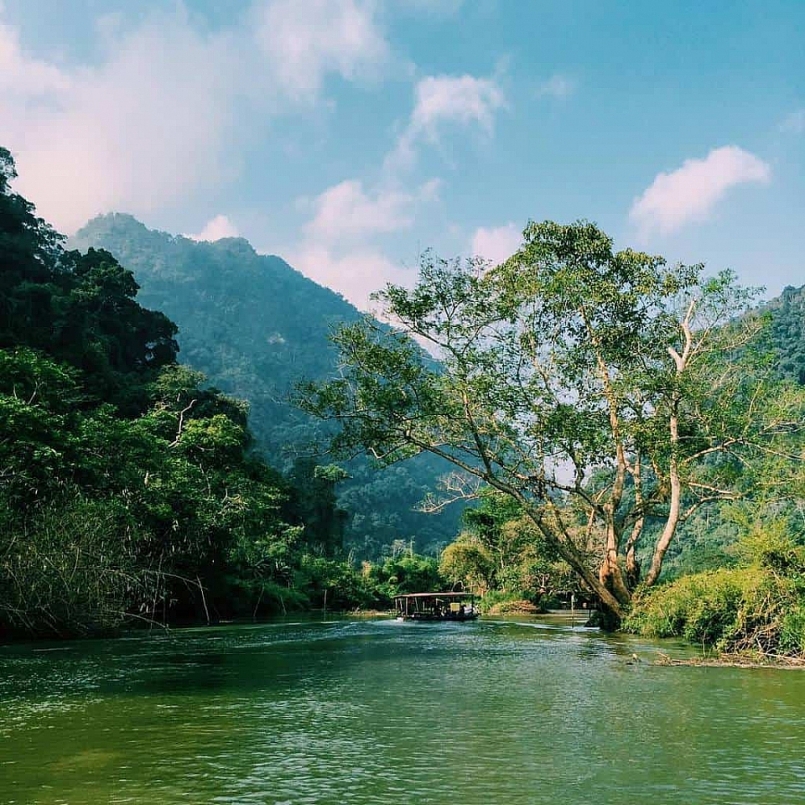 Bắc Kạn tăng cường công tác bảo vệ rừng dịp Tết Tân Sửu 2021 Bắc Kạn tăng cường công tác bảo vệ rừng dịp Tết Tân Sửu 2021