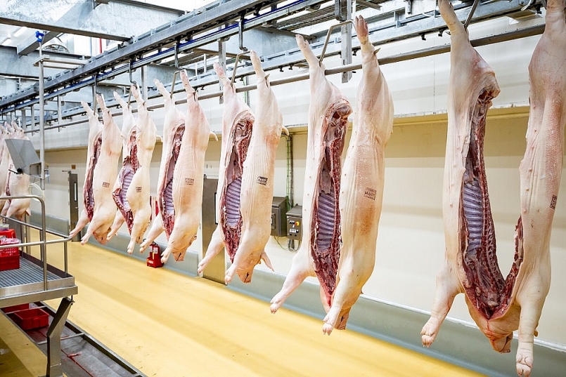 Giá thịt lợn hôm nay 29/1 tiếp tục lặng sóng Giá thịt lợn hôm nay 29/1 tiếp tục lặng sóng