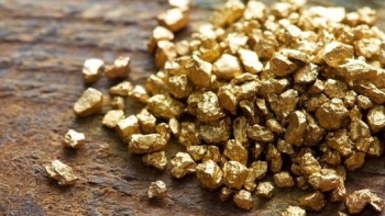 Cập nhật giá vàng hôm nay 1/2: Tiếp đà tăng cuối tuần trước