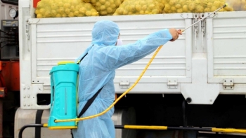 Quảng Ninh: Hỗ trợ tiêu thụ nông sản cho người dân bị ảnh hưởng dịch Covid-19