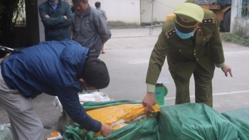 Nghệ An: Tiêu hủy hơn 14 tấn sản phẩm động vật không rõ nguồn gốc, xuất xứ