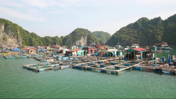 Gửi Hồ sơ đề cử "Vịnh Hạ Long - Quần đảo Cát Bà" là Di sản thế giới