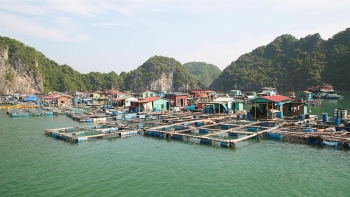 Gửi Hồ sơ đề cử "Vịnh Hạ Long - Quần đảo Cát Bà" là Di sản thế giới