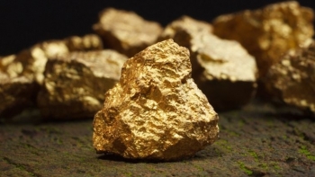 Cập nhật giá vàng hôm nay 2/2: Tiếp đà tăng nhẹ