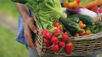 Giá rau củ quả hôm nay 2/2: Chuẩn bị đón tết với giá hấp dẫn