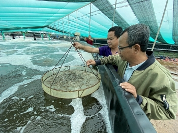 Phát triển khoa học công nghệ về giống thủy sản giai đoạn 2021 - 2025