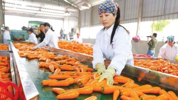 Hà Nội: Triển khai các nhiệm vụ bảo đảm an toàn nông sản dịp Tết và lễ hội Xuân 2021