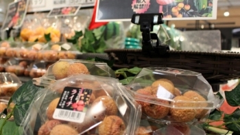 Năm 2020, xuất khẩu hàng hóa của Việt Nam sang Nhật Bản đạt 19,28 tỷ USD