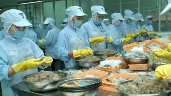 Cấp chứng thư thủy sản sống xuất khẩu sang Trung Quốc qua Cơ chế một cửa quốc gia