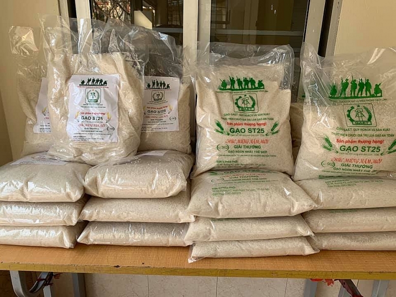 Gạo QP, loại ST 25 lúa tôm ngon nhất thế giới