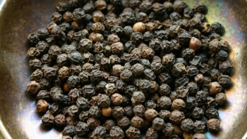 Giá hồ tiêu hôm nay 8/2: Tiếp tục ổn định