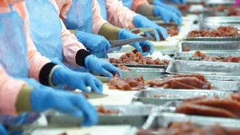 Xuất khẩu thủy sản tháng 1/2021 ước đạt 600 triệu USD, tăng 19,6%