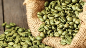 Giá cà phê hôm nay 15/2: Đi ngang