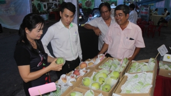 Đồng Nai: Hơn 22 nghìn ha cây trồng được cấp mã số vùng trồng