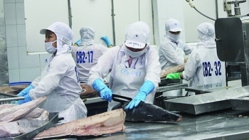 Năm 2020, Nhật Bản giảm nhập khẩu thủy sản từ Việt Nam