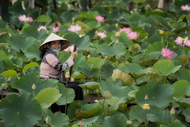 Đồng Tháp công nhận thêm 14 điểm du lịch cộng đồng