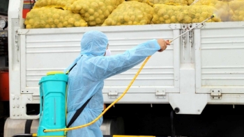 Hà Nội: Hỗ trợ tiêu thụ 300 tấn rau củ quả cho Hải Dương, Quảng Ninh