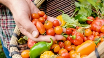 Giá rau củ quả hôm nay 20/2: Tiếp tục được khuyến mãi ngày cuối tuần