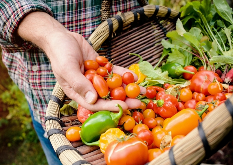 Giá rau củ quả hôm nay 20/2 tiếp tục được khuyến mãi ngày cuối tuần