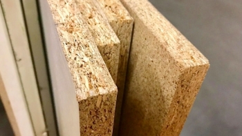 Ấn Độ tổ chức Phiên điều trần một số vụ việc chống bán phá giá đối với gỗ MDF từ Việt Nam