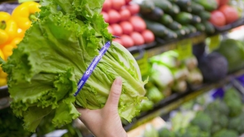 Giá rau củ quả hôm nay 22/2: Hấp dẫn với nhiều ưu đãi