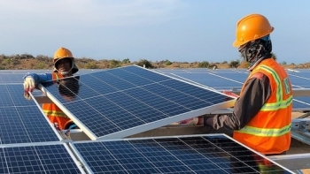 Hà Nội: Phê duyệt Dự án thí điểm sử dụng năng lượng mặt trời trên mái chợ Đồng Xuân