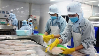 VASEP: Dự báo xuất khẩu thủy sản năm 2021 đạt 8,8 tỷ USD