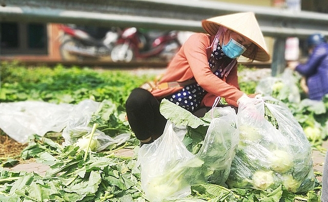 Bộ Công Thương nỗ lực tháo gỡ khó khăn cho lưu thông hàng hóa và thúc đẩy tiêu thụ nông sản do ảnh hưởng của dịch bệnh COVID-19 Bộ Công Thương nỗ lực tháo gỡ khó khăn cho lưu thông hàng hóa và thúc đẩy tiêu thụ nông sản do ảnh hưởng của dịch bệnh COVID-19
